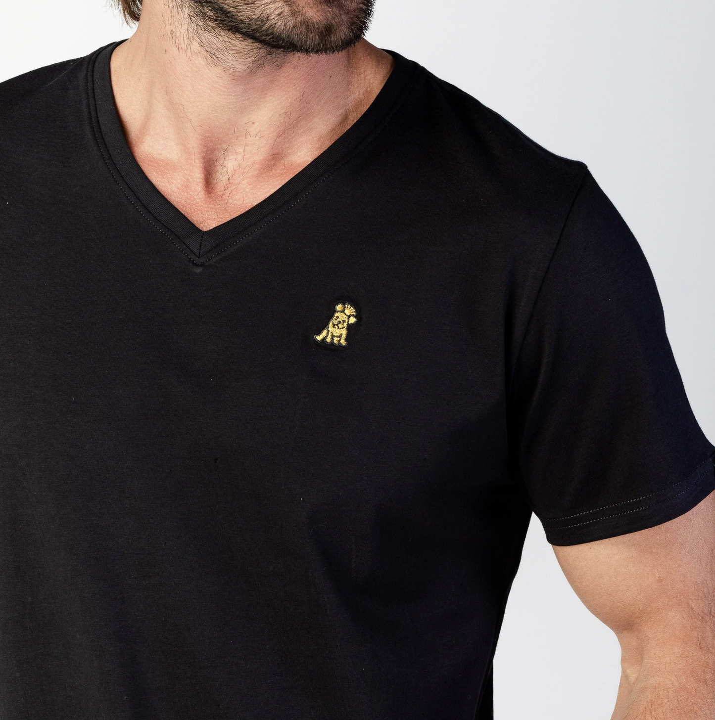 V-Neck Jersey T-Shirt